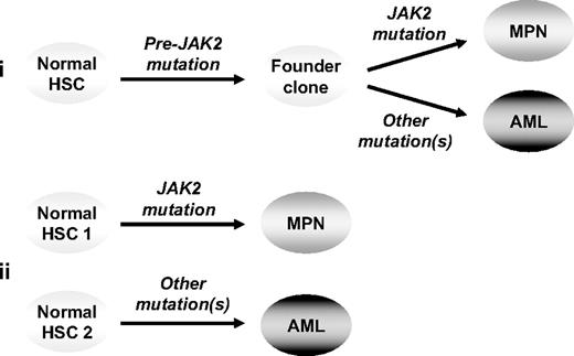 Figure 5. Models to explain progression from a JAK2-mutant MPN to a JAK2 wild-type leukemia. In model 1 (i) the 2 phases of disease are phylogenetically related, having arisen from a shared (pre-JAK2) founder clone, whereas in model 2 (ii) the 2 phases of disease are clonally unrelated, reflecting transformation of independent stem cells. HSC indicates hematopoietic stem cell.