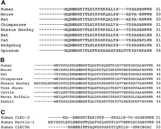 Figure 1. Sequence alignment of CLEC-2 family proteins. (A) Ten species of CLEC-2 were aligned using ClustalW web-based software, highlighting conservation of the DEDGYxTL motif and serines at positions 21 and 27. (B) Nine species of Dectin-1 were aligned, highlighting conservation of the DEDGYTxL motif and serines at positions 32 and 40. (C) The intracellular tails of CLEC-2, Dectin-1, and CLEC9A were aligned, highlighting conservation of the YxxL motif and partial conservation of a serine-rich region.
