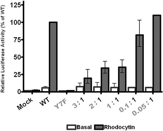 Figure 3. The Y7F CLEC-2 mutant inhibits signaling by the wild-type receptor. DT40 cells were transfected with 10 μg/mL of wild-type CLEC-2 and/or various amounts of Y7F CLEC-2 and an NFAT-luciferase reporter gene. Transfected cells were stimulated with 50nM rhodocytin for 6 hours at 37°C, after which time the amount of luciferase activity was measured as a readout of signaling. Results were normalized for transfection efficiency and plotted as a percentage of the wild-type response. Error bars represent the geometric mean ± SE of 3 to 8 separate experiments.