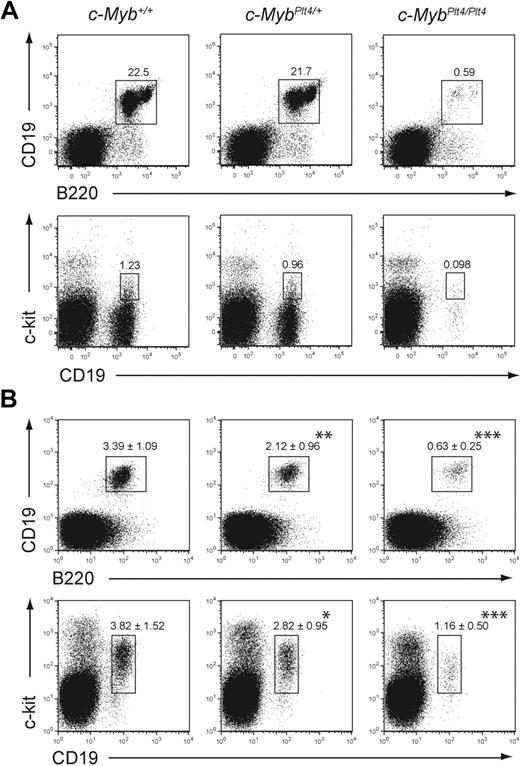 Figure 2. The B-cell defect in c-MybPlt4/Plt4 mice is more severe in older mice. (A) Flow cytometry of adult (8-10 weeks old) c-Myb+/+, c-MybPlt4/+, and c-MybPlt4/Plt4 mice. Top indicates total B cells; bottom, pro-B cells. Populations were identified as described in Figure 1. Plots are representative of 3 mice per genotype. (B) Flow cytometry of fetal liver cells from e16.5 embryos. Numbers in the plots represent the proportion of cells within the gated population expressed as the mean ± SD of 7 to 21 embryos per genotype. (Top) Numbers above the boxes indicate percentages of total B cells (B220+CD19+) among all live cells. (Bottom) Numbers above the boxes indicate percentages of pro-B cells (CD19+c-kit+) among all live cells. *P < .05; **P < .01; ***P < .001 in test group vs c-Myb+/+ cells.