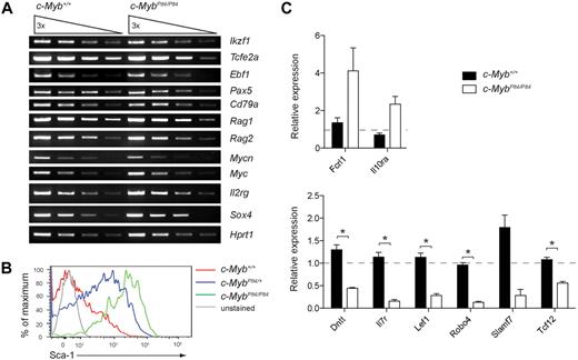 Figure 4. Analysis of genes differentially expressed in c-MybPlt4/Plt4 pro-B cells. (A) Semiquantitative RT-PCR of gene expression in pro-B cells (B220+CD19+c-kit+) isolated from the bone marrow of 3- to 4-week-old c-Myb+/+ and c-MybPlt4/Plt4 mice. Wedges indicate serial dilution of cDNA. Data are representative of 2 experiments. (B) Flow cytometry of Sca-1 (Ly6a) surface expression on pro-B cells from 3-week-old mice of the indicated genotypes. Plots are representative of 3 mice per genotype. (C) Quantitative real-time PCR of gene expression in pro-B cells (B220+CD19+c-kit+) isolated from the bone marrow of 3- to 4-week-old c-Myb+/+ and c-MybPlt4/Plt4 mice. Expression is normalized to Hprt1 and is presented as relative to that in one of the wild-type samples, set as 1. *P < .05 in test group vs c-Myb+/+ cells. Data represent the mean ± SEM of 3 to 6 samples of each genotype.