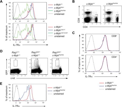 Figure 5. c-Myb is required for normal expression of IL-7Rα on lymphoid progenitors. (A) Flow cytometry of IL-7Rα surface expression on pro-B cells from 3- to 4-week-old mice. The upper panel is gated on B220+CD19+c-kit+ cells; the lower panel is gated on B220+c-kit+ cells. Plots are representative of 3 to 9 mice per genotype. (B) Flow cytometry of splenocytes from c-Myb+/+ and c-MybPlt4/Plt4 mice. Numbers adjacent to the boxes indicate percentages of CD4+ and CD8+ T cells among all live cells. Dot plots are representative of 3 mice per genotype. Note that the relative increase in CD8+ and CD4+ cells is due to the loss of B cells in c-MybPlt4/Plt4 mice. (C) Flow cytometry of IL-7Rα surface expression on splenic T cells from c-Myb+/+ and c-MybPlt4/Plt4 mice, gated for CD8+ or CD4+ cells as indicated. Plots are representative of 3 mice per genotype. (D) Flow cytometry of density-fractionated and lineage-depleted bone marrow of 5- to 9-week-old c-Myb+/+ and c-MybPlt4/Plt4 mice on a Rag1gfp/+ background. Cells at the CLP stage of development were identified as Sca-1+c-kitint GFP+; numbers in plots indicate the percentage of cells in each gated area. (E) Flow cytometry of IL-7Rα surface expression on Sca-1+c-kitint GFP+ cells. Plots are representative of 4 to 5 mice per genotype.