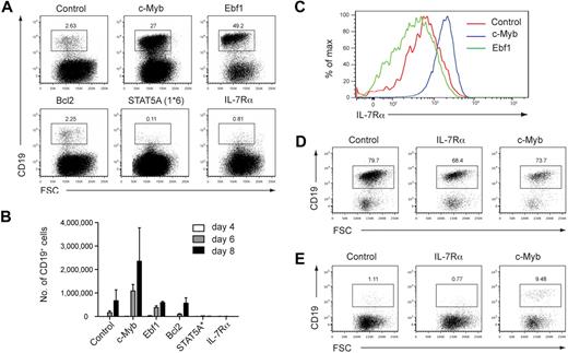 Figure 7. IL-7Rα cannot rescue B-cell development from c-Myb deficient fetal liver cells. (A) Generation of CD19+ B cells from retrovirally infected c-MybPlt4/Plt4 fetal liver cells. Fetal liver cells from e14.5 embryos were depleted of Ter119+ cells and transduced with control retrovirus or retrovirus encoding c-Myb, Ebf1, Bcl2, constitutively active STAT5A(1*6), or IL-7Rα; all retroviruses included an IRES GFP to identify infected cells. Retrovirally infected cells were grown on OP9 stromal cells for 8 days in the presence of IL-7 and Flt3L. Numbers above the boxes indicate percentages of B cells (CD19+) among GFP+ cells. Plots are representative of 6 independent experiments. (B) Quantitation of CD19+ B cells generated from c-MybPlt4/Plt4 fetal liver cells transduced with retrovirus as in panel A. The number of GFP+ CD19+ cells was counted after 4, 6, and 8 days of culture. Data represent the mean ± SEM of 3 independent experiments. (C) Flow cytometry of IL-7Rα surface expression on B cells generated from c-MybPlt4/Plt4 fetal liver cells transduced with control, c-Myb, or Ebf1 retrovirus. Plots are gated on GFP+ CD19+ cells. Data are representative of 6 independent experiments. (D-E) Generation of CD19+ B cells from retrovirally infected (D) c-Myb+/+ or (E) c-MybΔmb1/Δmb1 CLPs. Cells were transduced and cultured as in panel A. Plots are representative of 2 independent experiments.