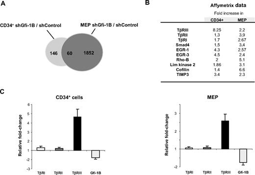Figure 4. TβRIII mRNA accumulates in CD34+ cells and in MEP in the absence of Gfi-1B. (A) Venn diagram showing the number of differentially expressed genes after Gfi-1B knockdown in CD34+ cells or MEP. shControl- or shGfi-1B–transduced cells were harvested 48 hours after retroviral infection, and mRNA were hybridized on Affymetrix microarrays. The number of genes differentially expressed as well as the number of genes that were up-regulated in both cell populations were indicated in the corresponding region of the diagram. (B) A subset of proteins involved in TGF-β signaling, which are up-regulated in both CD34+ and MEP after Gfi-1B depletion. The values represent Affymetrix data showing the fold increase between control and Gfi-1B knockdown cells. (C) Comparison of the mRNA expression of the 3 TGF-β receptors (TβRI, II, and III) in shControl- and shGfi-1B–transduced CD34+ or MEP. Quantitative RT-PCR was performed using TβRI, II, and III and Gfi-1B–specific primers. Data are expressed as fold change from controls, with GAPDH primers used as an internal control. Error bars represent SD of 4 experiments.