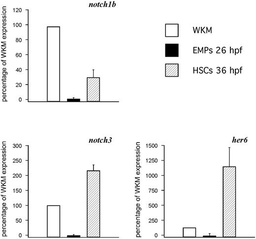 Figure 1. HSCs, but not EMPs, express Notch pathway genes. qPCR analysis of notch1b (top left), notch3 (bottom left), and the Notch target her6 (bottom right) on 26-hpf EMPs and 36-hpf HSCs, with whole kidney marrow (WKM) as reference standard. The y-axis indicates percentage relative to WKM, defined as 100% in all examples. Results are the average of 3 experiments; error bars represent standard deviation.