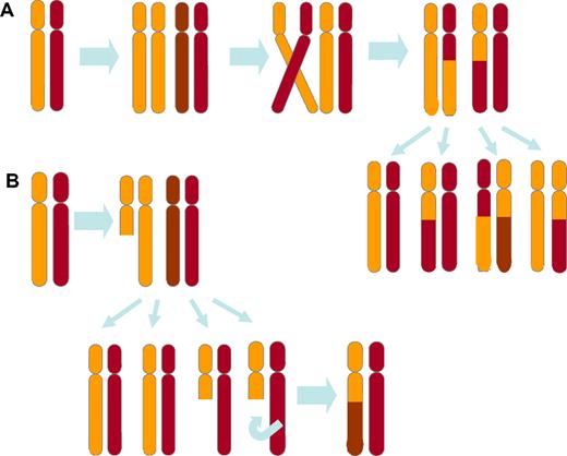 Figure 2. Mitotic mechanisms of formation of CN-LOH. (A) CN-LOH can occur as the result of mitotic recombination between homologous chromosomes. Depending on how the chromosomes are sorted during mitosis, daughter cells with CN-LOH can arise. (B) CN-LOH can also arise as the consequence of deletion followed by recombination using the homolog as a template for correction.