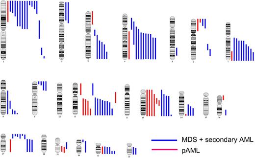 Figure 4. Genomic distribution of acquired CN-LOH in MDS/secondary AML and primary AML. CN-LOH is nonrandomly distributed across the genome in both MDS/secondary AML (blue lines) and primary AML (red lines), with some chromosomes and chromosomal regions being more frequently affected.