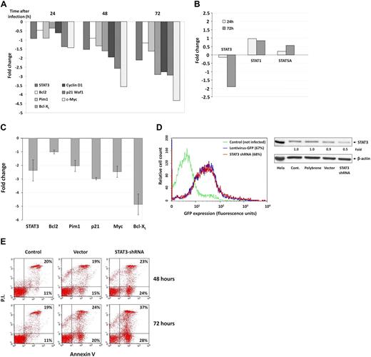 Figure 6. Serine pSTAT3 initiates transcription of STAT3-regulated genes in CLL cells. CLL cells were infected with a lentivirus harboring GFP-STAT3-shRNA or with lentivirus GFP-empty vector. (A) RT-PCR results of mRNA levels of STAT3 and the STAT3-regulated genes Bcl2, Pim1, Bcl-XL, Cyclin D1, p21 (Waf1), and c-Myc in CLL cells (CLL 26) that were infected by lentivirus harboring GFP-STAT3-shRNA for 24, 48, and 72 hours. (B) RT-PCR results of mRNA levels of STAT1, STAT3, and STAT5 in CLL cells (CLL 26) that were infected by lentivirus harboring GFP-STAT3-shRNA for 24 and 72 hours. The RT-PCR results are shown as fold change (decrease or increase) relative to the mRNA levels of the STAT3-regulated genes in CLL cells that were infected with lentiviral GFP-empty vector. (C) RT-PCR results of mRNA levels of the STAT3-regulated genes STAT3, Bcl2, Pim1, Bcl-XL, p21 (Waf1), and c-Myc in CLL cells (CLL 15, 19, 24, and 27). Changes in mRNA levels (mean ± SD) are shown. As in the previous experiment, infection with empty virus did not significantly affect STAT3-regulated gene levels. (D) Left panel: Infection efficiency analyzed by flow cytometry of control and GFP+ empty virus– and STAT3-shRNA–infected CLL cells (CLL 26). Right panel: Western blot of control, empty vector- and STAT3 shRNA-infected CLL cells. Forty-eight hours after infection with STAT3, shRNA down-regulated STAT3 protein levels by 50%. (E) Flow cytometric analysis of PI+/− and annexin V+ cells 48 and 72 hours after infection with GFP-STAT3-shRNA or empty vector. The percentages of early apoptotic cells are shown in the bottom right corners and of late apoptotic (PI− and annexin V+) cells in the top right corners.