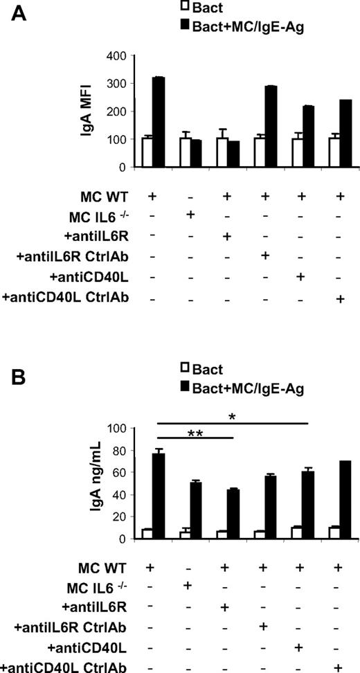 Figure 6. MC-derived IL-6 and CD40L-CD40 signaling induces IgA surface expression and secretion by activated B cells. Analysis of surface IgA by activated B cells in presence of cultured activated MCs. (A) MIFs of IgA surface expression on activated B cells cultured alone or with activated WT MCs and with IL-6−/− MCs and in the presence of anti–IL-6R or anti-CD40L antibody are measured by flow cytometry. IgA surface expression on B cells alone with anti–IL-6R and of anti-CD40L isotype control antibody was also analyzed by flow cytometry (Ctrl). (B) Secreted IgA by activated B cells cultured alone, with activated WT MCs and with IL-6−/− MCs and in the presence of anti–IL-6R or control antibody (Ctrl), and in the presence of anti-CD40L antibody or control antibody (Ctrl), was detected by ELISA. The results are the average ± SD of values from 3 separate experiments using at least 3 different cultures of MCs. *P < .05; **P < .001.