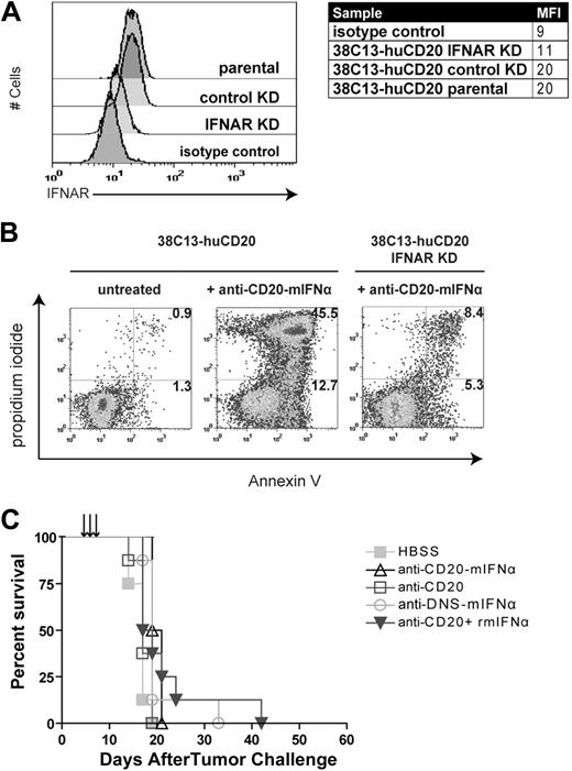 Figure 4. Antitumor efficacy of anti–CD20-mIFNα requires IFNAR expression on tumor cells. (A) Flow cytometric analysis of IFNAR expression on indicated cell lines. 38C13-huCD20 transduced with IFNAR-specific shRNA (38C13-huCD20 IFNAR KD), 38C13-huCD20 transduced with nonspecific shRNA (38C13-huCD20 control), and 38C13-CD20 parental cells were stained with anti–IFNAR-biotin primary antibody (clone MAR1-5A3) and detected with streptavidin-PE. Biotinylated IgG1 isotype–stained control is also shown. (B) Apoptosis assay using parental 38C13-huCD20 and 38C13-huCD20 IFNAR KD. Cells were treated with 1000pM anti–CD20-mIFNα and stained with annexinV-FITC and PI 48 hours later. Flow cytometry patterns and gate frequencies in percentages are shown in the upper right hand corner of the annexin+ gates. (C) Effective in vivo treatment of 38C13-huCD20 with anti–CD20-mIFNα requires IFNAR expression on tumor cells. Mice (n = 8 per group) were treated 5, 6, and 7 days after tumor inoculation with 10 μg of anti–CD20-mIFNα or the molar equivalent of the indicated proteins. Mice were followed for survival and killed when tumors reached 1.4 cm in diameter as per institutional guidelines. Mice treated with HBSS were used as control.