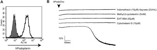 Figure 6. Signaling via podoplanin displays strong similarities to rhodocytin. (A) The level of surface expression of CHO cells stably expressing human podoplanin (hPodoCHO) was confirmed by flow cytometry using the anti-podoplanin antibody NZ-1 (infill: CHO cells; overlay: hPodoCHO cells). (B) Human washed platelets (6 × 108/mL) pretreated with the indicated inhibitors were stimulated by 4 × 106/mL hPodoCHO cells, and platelet aggregation was monitored by aggregometry. Data are representative of 3 independent experiments.