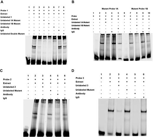 Figure 3. EMSA using oligonucleotide probes with RUNX1-binding sites 1A, 1B, 2, and 3 and nuclear extracts from PMA-treated HEL cells. (A) EMSA using wild-type oligonucleotide probe with sites 1A (−1498/−1493) and 1B (−1491/−1486), and nuclear extract from PMA-treated HEL cells. Lane 1 indicates probe alone; lane 2, probe with nuclear extract; lane 3, competition with excess unlabeled probe; lane 4, competition with unlabeled site 1A mutant probe; lane 5, competition with unlabeled site 1B mutant probe; lane 6, effect of RUNX1 antibody; lane 7, effect of nonspecific IgG; and lane 8, competition with unlabeled probe with sites 1A and 1B mutated. (B) EMSA using oligonucleotide probes with site 1A mutated (mutant probe 1A lanes 1-5) or site 1B mutated (mutant probe 1B lanes 6-10). Lanes 1 and 6 indicate probe alone; lanes 2 and 7, protein binding with nuclear extract; lanes 3 and 8, competition with excess respective unlabeled probe; lanes 4 and 9, effect of nonspecific IgG; and lanes 5 and 10, inhibition of binding with RUNX1 antibody. (C) EMSA using oligonucleotide probe with site 2 (−708/−703). Lane 1 indicates free probe; lane 2, protein binding with extract; lane 3, competition with excess unlabeled probe; lane 4, competition with unlabeled probe with site 2 mutated; lane 5, inhibition of binding with RUNX1 antibody; and lane 6, effect of nonspecific IgG. (D) EMSA using oligonucleotide probe with site 3 (−526/−521). Lane 1 indicates free probe; lane 2, protein binding with extract; lane 3, competition with excess unlabeled probe; lane 4, competition with unlabeled probe with site 3 mutated; lane 5, inhibition of binding with RUNX1 antibody: and lane 6, effect of nonspecific IgG.