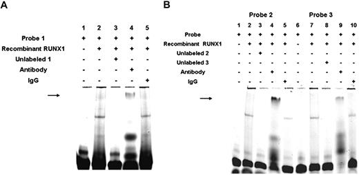 Figure 4. EMSA using oligonucleotide probes with RUNX1-binding sites 1A, 1B, 2, and 3 and recombinant RUNX1. (A) EMSA using oligonucleotide probe with sites 1A and 1B and recombinant RUNX1. Lane 1 indicates probe alone; lane 2, probe with recombinant RUNX1; lane 3, competition with excess unlabeled probe; lane 4, effect of RUNX1 antibody (arrow, supershift); and lane 5, effect of nonspecific IgG. (B) EMSA using recombinant RUNX1 and oligonucleotide probes with site 2 (−708/−703; lanes 1-5) and with site 3 (−526/−521; lanes 6-10). Lane 1 indicates free probe with site 2; lane 2, protein binding with recombinant RUNX1; lane 3, competition with excess unlabeled probe; lane 4, effect of RUNX1 antibody (, supershift); lane 5, effect of nonspecific IgG; lane 6, free probe with site 3; lane 7, protein binding with recombinant RUNX1; lanes 8, competition with excess unlabeled probe; lane 9, effect of RUNX1 antibody (, supershift): and lane 10, effect of nonspecific IgG.
