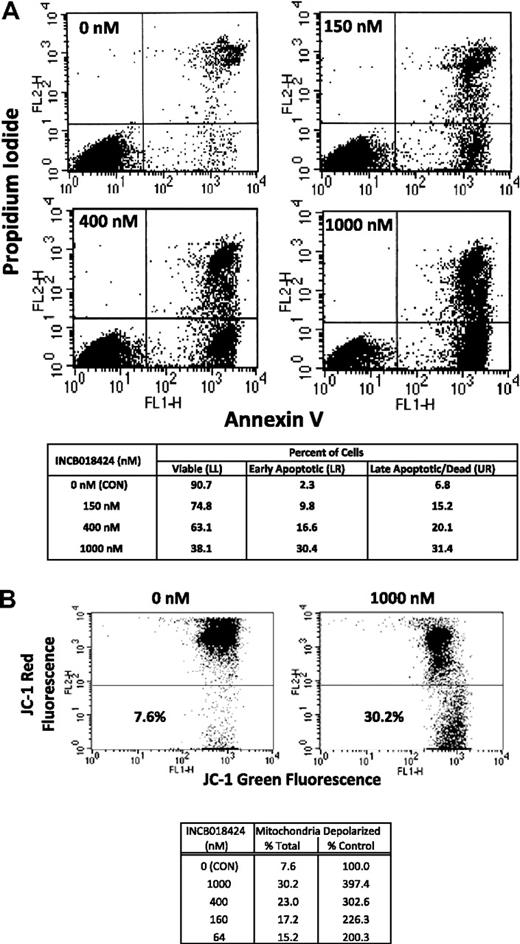 Figure 2. Cells expressing JAK2V617F undergo apoptosis when treated with a selective JAK inhibitor. Ba/F3-EpoR-JAK2V617F cells were treated with various concentrations of INCB018424 for approximately 24 hours and analyzed for hallmarks of apoptosis by annexin V/propidium iodide staining (A) or mitochondrial membrane depolarization (B). Cells treated with INCB018424 were stained with a combination of fluorescein isothiocyanate-annexin V and propidium iodide and analyzed using flow cytometry to determine the percentages of viable (bottom left), early apoptotic (bottom right), and late apoptotic or dead (top right) cells. The effects of JAK inhibition on mitochondrial membrane potential were determined by flow cytometry using JC-1 as a molecular probe (B). Total and relative percentages of cells with depolarized mitochondria are shown.