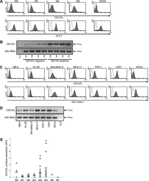 Figure 2. CD137L expression in AML cells. (A) PBMCs from patients with AML and CD34+ cells of healthy donors were analyzed by FACS for CD137L and HLA class I expression using specific mAb (shaded peaks) and isotype control (open peaks). Malignant cells were selected as described in “Methods.” (B) RNA from the PBMCs of patients with AML was extracted, reverse transcribed, and investigated for CD137L expression by RT-PCR analysis of equal mRNA levels; 18S rRNA served as control. (C) CD137L and HLA class I surface expression on the indicated AML cell lines was investigated as described in panel A. (D) CD137L mRNA expression by the indicated AML cell lines was investigated as described in panel B. (E) SFI levels of CD137L surface expression on patient AML cells were determined by FACS. Patients were then subdivided according to FAB types. Association with specific subtypes was calculated by 1-way ANOVA. Horizontal bars indicate means within each group. *Statistically significant differences.