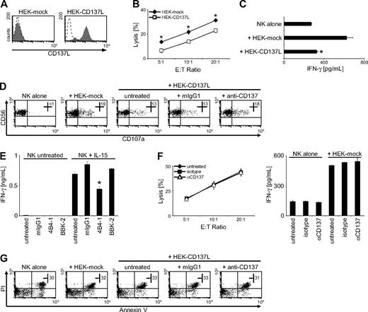 Figure 5. CD137 impairs antitumor reactivity of human NK cells. (A) CD137L surface expression on HEK cells transfected with human CD137L (HEK-CD137L) and the respective mock controls (HEK-mock) was determined by FACS using CD137L mAb (shaded peaks) and isotype control (open peaks). (B) Cytotoxicity of polyclonal NK cells in cultures with the HEK transfectants was evaluated by 4-hour chromium release assays. (C) IFN-γ levels in cultures of polyclonal NK cells and HEK transfectants were determined after 24 hours by ELISA. (D) Granule mobilization of polyclonal NK cells after 3-hour cultures with HEK transfectants in the presence or absence of 10 μg/mL mouse IgG1 or blocking CD137 mAb was analyzed by FACS. Numbers in top right quadrants indicate the percentage of CD107a+ NK cells. (E) Freshly isolated NK cells were cultured for 24 hours with or without 10 ng/mL IL-15 followed by incubation for additional 24 hours with or without IL-15 in the presence or absence of immobilized agonistic (4B4-1) and blocking (BBK-2) CD137 mAb or isotype control. Subsequently, IFN-γ levels in culture supernatants were determined by ELISA. (F) Polyclonal NK cells were incubated for 24 hours in medium alone or on immobilized agonistic CD137 mAb or isotype control. The respective culture supernatants (untreated, IgG1, and αCD137, respectively) were then harvested, and fresh polyclonal NK cells of the same donor were incubated with HEK-mock cells using the different supernatants as culture medium. Cytotoxicity was analyzed after 4 hours by chromium release assays (left), and IFN-γ production was determined after 24 hours by ELISA (right). (G) Apoptosis of polyclonal NK cells was determined after culture with HEK transfectants for 48 hours by FACS for Annexin V/PI. Numbers in dot plots indicate the percentage of Annexin V/PI+ CD56+CD3− cells. One representative experiment each of a total of at least 3 with similar results is shown. Results shown in panels B, C, E, and F represent means of triplicates with SDs. *Statistically significant differences.