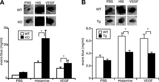 Figure 5. Requirement for endogenous apelin for inhibition of VEGF- or histamine-induced vascular edema. (A-B) Vessel permeability was assessed by the Miles assay. Apelin-deficient (KO) and WT mice (A) or K14-apelin Tg and WT mice (B) were injected with 15 μL of PBS in the presence or absence of rhVEGF165 (100 ng/mL) or histamine (100μM) intradermally. Thirty minutes after injection, the inner side of the dorsal skin was inspected. Top panels: Representative images of the vascular leakage. Bottom panels: Quantification of extravasated Evans blue dye content eluted from dissected skin (mean ± SEM; n = 10). *P < .05.