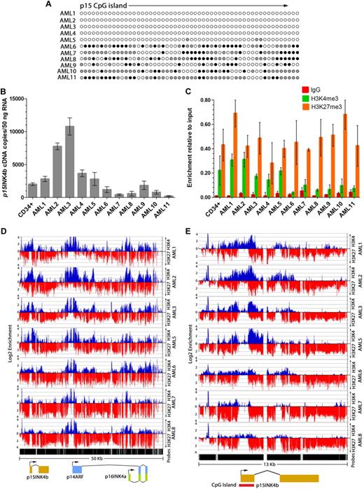 Figure 3. AML patient blasts with p15INK4b DNA methylation display reduced H3K4me3 enrichment at the promoter. (A) Bisulfite sequencing of the p15INK4b exon 1 CpG island in AML patient samples. Filled circles represent the frequency of DNA methylation at CpG positions in sequenced clones (● represents ≥ 50% methylcytosine; , 10%-49% methylcytosine). (B) Quantitative RT-PCR analysis of p15INK4b expression in AML patient blasts. cDNA copies per 50 ng total RNA were calculated from a plasmid DNA standard curve and represent the averages of 3 independent experiments with error bars of SD. Quantitative PCR analysis (C) of H3K4me3 and H3K27me3 enrichment at the p15INK4b promoter. Data are averages of ΔΔCt compared with input DNA from 3 technical replicates with error bars of SD. ChIP-on-chip analysis of enrichment of H3K4me3 (blue) and H3K27me3 (red) on chromosome 9: 21953000 to 22003000 (D) and chromosome 9: 21990000 to 22003000 (E) in AML patient samples. Top axis represents H3K4me3; and bottom axis, H3K27me3. Normalized enrichment data (IP/input) are plotted on a log 2 scale.
