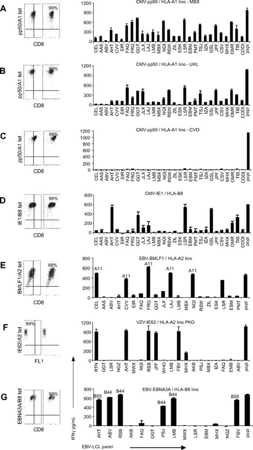 Figure 1. Alloreactivity of virus-specific T-cell lines. Eleven virus-specific T-cell lines, of which 7 are shown in this figure, were stimulated with a panel of EBV-LCLs for 18 hours and IFNγ production was measured by ELISA. In experiments in which EBV-specific T-cell lines were tested, we excluded the EBV-LCLs expressing the HLA molecules to which the T-cell lines were restricted. The purity of the virus-specific lines was analyzed by tetramers and CD8 staining, and all T-cell lines proved to be more than 98% pure. As a positive control, the lines were tested against EBV-LCLs expressing the HLA-restricting molecule of the viral epitope, loaded with the viral peptide recognized by the T-cell lines (pept). (A) The CMV-pp50/HLA-A1–specific lines of patient MBX recognized almost all EBV-LCLs. (B) The CMV-pp50/HLA-A1–specific line of patient UKL showed broad alloreactivity. (C) Two of the 10 tested T-cell lines exerted no alloreactivity against the tested EBV-LCLs of which 1, the pp50/HLA-A1–specific line, is shown. (D) The CMV-IE1/HLA-B8 recognized a limited number of EBV-LCLs. (E) The BMLF1/HLA-A2–specific line showed high reactivity against all HLA-A11–positive EBV-LCLs and 1 HLA-A11–negative EBV-LCL. (F) The VZV-IE62/HLA-A2–specific line of patient PKO recognized a limited number of EBV-LCLs. (G) EBNA3A/HLA-B8–specific line recognized EBV-LCLs expressing either HLA-B44 or HLA-B55. Experiments were performed in duplicate, mean values are shown ± SD.