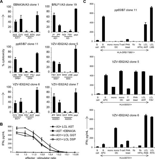 Figure 4. The potency of the alloreactivity exerted by virus-specific T cells. (A) To investigate the allo-HLA–reactive cytotoxic capacity of virus-specific T cells, 6 virus-specific cell clones were tested in cytotoxicity assays against 2 EBV-LCLs expressing the recognized allo-HLA molecules and 2 EBV-LCLs negative for the allo-HLA molecules. EBV-LCLs expressing the virus-specific restriction molecule were loaded with the viral peptide and used as positive control for cytotoxicity. (B) To compare the affinities of the allo-HLA–reactive response and the virus-specific response, the allo–HLA-A30/A31–reactive EBV-EBNA3A/HLA-A3–specific clone 19 was tested against the HLA-A*0301+ EBV-LCL AST transduced with a retrovirus encoding for EBNA3A and against 2 HLA-A*3101+ EBV-LCLs GGT and DSP. To compare the kinetics of the 2 responses, the clone was tested against the EBV-LCLs in different effector-stimulator ratios. (C) To extrapolate the results obtained with the EBV-LCLs and K562 cells to the recognition of normal cell subsets in vivo, we tested virus-specific T-cell clones against allo-HLA–expressing B cells, CD40 ligand–activated B cells (B APC), T cells, PHA blasts, monocytes, monocyte-derived DCs, and fibroblasts with and without IFNγ pretreatment. Experiments were performed in duplicate, mean values are shown ± SD.