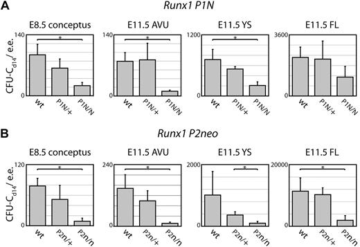 Figure 3. Runx1 P1N and P2neo mutations severely affect definitive hematopoietic progenitor cell numbers at hemogenic sites. (A) Total CFU-Cd14 numbers for P1N mutant embryos and their wild-type littermates. (B) Total CFU-Cd14 numbers for P2neo mutant embryos and their wild-type littermates. At E8.5, concepti (embryo proper and YS) of the same genotype were pooled and cell suspensions generated and plated in Methocult M3434. Data are the mean ± SD of 2 independent experiments performed in triplicate. Total number of embryos analyzed at E8.5: 6 P1+/+ (4-7 sp), 10 P1N/+ (5-10 sp), 6 P1N/N (4-7 sp), 8 P2+/+ (4-8 sp), 21 P2neo/+ (4-8 sp), and 12 P2neo/neo (4-8 sp). At E11.5, the AVU, YS, and FL were dissected and pooled according to genotype. Data are the mean ± SD of 3 independent experiments performed at least in duplicate. Total number of embryos analyzed at E11.5: 11 P1+/+, 8 P1N/+, 4 P1N/N, 11 P2+/+, 29 P2neo/+, and 20 P2neo/neo. *Statistically significant differences in CFU-C numbers between the samples indicated (P < .05; Student t test). Although the difference between P2+/+ and P2neo/neo E11.5 YS was not statistically significant (P = .17, t test; most likely attributable to a wide range in wild-type CFU-C between 405-1873 per e.e.), the difference between the P2neo/+ and P2neo/neo YS was (ie, P = .03; Student t test). e.e. indicates embryo equivalent.