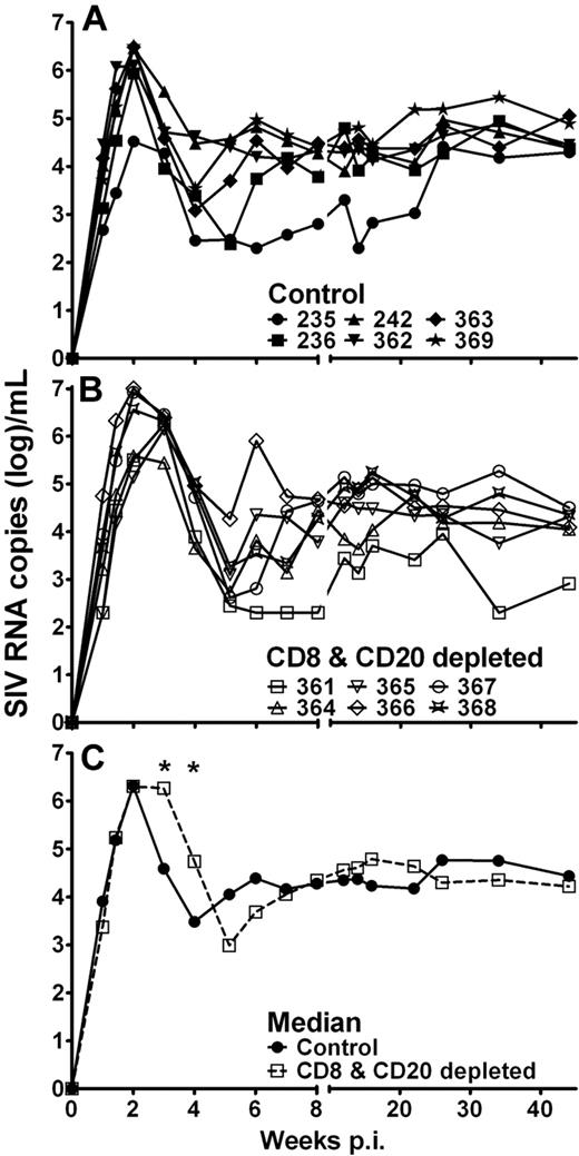Figure 3. Temporally increased plasma SIV viremia in CD8+ and CD20+ lymphocyte-depleted SIV-infected AGMs. SIVsab9315BR RNA copy numbers were determined by quantitative PCR in control Ab-treated AGMs (A) and CD8+ and CD20+ lymphocyte-depleted AGMs (B). Median viral RNA copy number for both groups (C). *Statistically significant difference between the control (solid line, ●) and CD8+ and CD20+ lymphocyte-depleted group (dashed line, □) at the indicated time points (Mann-Whitney test, P ≤ .05). p.i. indicates postinfection.