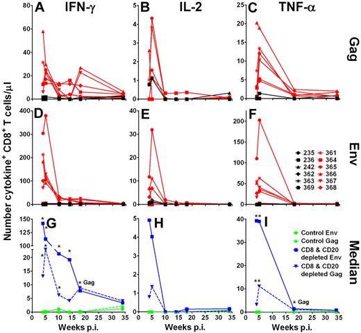 Figure 5. Increased SIV-specific expression of IFN-γ, IL-2, and TNF-α cytokine responses in CD8+ T cells from CD8+ and CD20+ lymphocyte-depleted SIV-infected AGMs. Intracellular expression of IFN-γ (A,D,G), IL-2 (B,E,H), and TNF-α (C,F,I) in SIVsab Gag and Env peptide pool-stimulated CD8+ T cells. Freshly isolated PBMCs were stimulated for 9 hours at 37°C in the presence of either Env or Gag peptide pools. The intracellular staining in CD8+ T cells stimulated with Gag or Env peptide pools is shown for control Ab-treated AGMs in black and for CD8+ and CD20+ lymphocyte-depleted AGMs in red (A-F). (G-I) Median responses of the 6 control AGMs in green and of the 6 CD8+ and CD20+ lymphocyte-depleted AGMs in blue. *Statistically significant difference between the control and CD8+ and CD20+ lymphocyte-depleted group at the indicated time points (Mann-Whitney test, P ≤ .05). Responses were considered positive if their value was greater than 2 times the SD of the mean of the media control wells. All values were background corrected using the media controls. Responses and background were determined separately for the different cytokines. p.i. indicates postinfection.