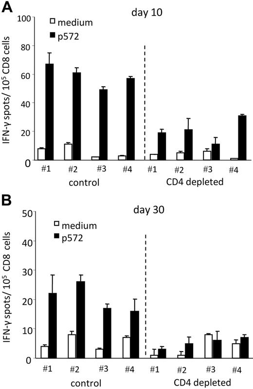 Figure 5. CD4 T-cell depletion reduces the self/TERT-specific CD8 T cells in lv-hTERT–immunized mice. HHD mice (4/group) were treated either with anti-CD4 monoclonal antibody (GK1.5; CD4 depleted) or with saline (control), 3 days before immunization. Ten (A) or 30 days (B) later, spleen-isolated CD8 T cells were cultured with p572 peptide or medium. The p572-specific CD8 T cells were detected ex vivo by IFN-γ ELISpot.