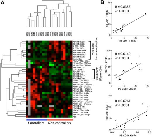 Figure 2. Patterns of the immune response in peripheral blood and mucosal tissue samples from HIV-infected persons. (A) Cellular parameters measured by flow cytometry and individual samples were organized using hierarchic clustering. Each row represents a single cellular parameter and each column represents a single person. Black indicates the median values of each parameter; red, a value greater than the median; green, a value lower than the median; and gray, missing data. Horizontal bars (in blue for controllers and red for noncontrollers) at the bottom of the figure indicate that the samples from controllers and noncontrollers cluster together. Vertical brackets (at the right) indicate cellular parameters that cluster together, reflecting values that are closely related to each other. (B) Representative scatter plots with linear regression analysis to confirm the association between cellular parameters measured in the peripheral blood (PB) relative to those measured in rectosigmoid biopsies (RB).