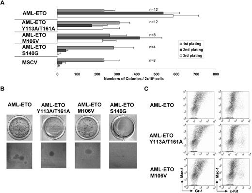 Figure 1. Analysis of transformation ability of various AML1-ETO point mutants in murine primary hematopoietic cells. (A) AML1-ETO point mutants used in the retroviral transduction/transformation assay are indicated on the left. The bar chart (right) represents the numbers of colonies after each plating in methylcellulose. Error bars show standard deviations of indicated numbers (n) of independent experiments. (B) Typical third-round colony morphology of primary transduced bone marrow cells transduced with indicated constructs. The top panel shows colonies stained with INT and the bottom panel shows unstained colonies (×10 magnification). (C) Phenotypical analysis of cells transformed by indicated constructs. Dot plots represent stainings obtained with antibodies specific for the indicated surface markers. Contour plots show unstained controls.