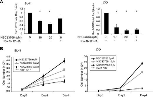 Figure 2. Rac1 activity contributes to p53-deficient lymphoma cell hyperproliferation. (A) Cell lysates were subjected to GST-PAK pull-down assay and processed for Western immunoblot to determine Rac1 activity in BL41 (left panel) and J3D (right panel) cells after 4-day treatment with NSC23766 or transduction with a Rac1 N17 mutation. Anti-HA or anti-Rac antibodies were used and β-actin served as a loading control. Immunoblot bands from at least 3 independent experiments were quantified by densitometry and displayed. *P < .05, significant with respect to untreated control. (B) BL41 (left panel) or J3D (right panel) cells were treated with NSC23766 or transduced with Rac1N17 as in panel A and cell number was monitored by trypan blue exclusion. Error bars represent SD.
