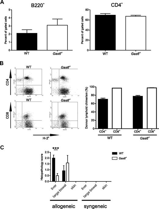Figure 3. Effects of Gas6 deficiency on acute lethal GVHD-associated histopathology. Lethally irradiated recipients from allogeneic T cell–depleted BMT that received 0.5 × 106 WT splenic donor T cells were killed at day 6. (A) Flow cytometric analysis of recipient circulating cells on day 6. Left panel: B220-H-2b double-positive cells gated to the mononuclear compartment; right panel: CD4+ cells gated to the H-2b mononuclear compartment. No significant difference is shown between WT and Gas6−/−. (B) Left panel: representative flow cytometric analysis of spleen cells on day 6. Right panel: donor lymphoid chimerism in the CD4+ or CD8+ splenic compartment of WT and Gas6−/− recipient mice (n = 6 or 7; Student t test, P > .05). (C) Semiquantitative analysis of tissue pathology at day 6 after BMT according to Cooke et al19 and Hill et al20 (Student t test, n = 6, ***P < .001).