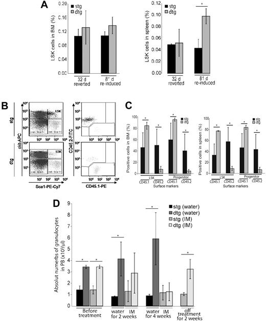 Figure 6. BCR-ABL donor cells increase within the LSK compartment on reinduction. (A) Analyses of LSK composition in reinduced mice showed doubling of LSK cells in the spleen of transplanted recipients of dtg, but not stg BM cells, on reinduction. (B) FACS analysis of donor (CD45.1+) and recipient (CD45.2+) cells within the LSK compartment. (C) Increase of dtg donor cells in LSK and progenitor cells was observed in BM and spleen of dtg recipients (mean ± SD); n = 3 per group. *P < .05. (D) Wild-type recipients were transplanted with 2 × 106 BM cells of noninduced dtg or stg donors. Expression of BCR-ABL was induced by removal of tetracycline from the drinking water directly after transplantation. Mice were treated twice daily, using imatinib or water for 4 weeks. WBCs and percentages of granulocytes (Gr-1+/CD11b+) in the PB were analyzed before treatment, during treatment (2 weeks and 4 weeks), and 2 weeks after completion of imatinib treatment. Error bars represent the mean ± SD; n(stg/dtg) before treatment = 3/3; n(stg/dtg IM or stg/dtg water) during treatment = (4/6/3/5); n(stg/dtg) 2 weeks after treatment = (4/4). *P < .05.