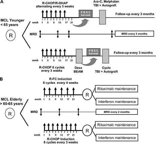 Figure 1. Diagram of the 2 randomized EU-MCL network trials. (A) Mantle cell lymphoma (MCL) Younger and (B) MCL Elderly with the respective minimal residual disease (MRD) sampling time points. MRD is assessed until clinical relapse or death. Maintenance treatment in both arms of the elderly protocol is given until progression or death.
