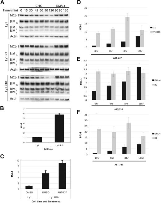 Figure 5. MCL-1 and BFL-1 are transcriptionally up-regulated in resistant cells. (A) OCI-Ly1, OCI-Ly1 R7, and OCI-LY1 R10 cells were treated with 20 μg/mL CHX for the time indicated. Cells were lysed immediately after treatment and subject to immunoblot analysis. These results are representative of 3 independent experiments. (B) Cells were cultured in the absence of ABT-737 for 2 weeks. RNA was isolated and MCL-1 fold change was analyzed by quantitative PCR. (C) Cells were cultured in the absence of ABT-737 for 2 weeks and then treated with DMSO or 250nM ABT-737 for 16 hours. RNA was isolated and MCL-1 fold change was analyzed by quantitative PCR. (D) OCI-Ly1 and OCI-Ly1 R10 cells were cultured in the absence of ABT-737 for 3 weeks. Cells were then treated with 20μM ZVAD.fmk for 45 minutes before treatment with 1μM ABT-737 for the time indicated. RNA was isolated and MCL-1 fold change was analyzed by quantitative PCR. (E) SU-DHL-4 and SU-DHL-4 R2 cells were cultured in the absence of ABT-737 for 3 weeks and treated and analyzed as in panel D. (F) RNA from panel E was used to assay BFL-1 fold change by quantitative PCR. Error bars in panels B through F indicate the SEM. RNA levels from the untreated parental cell lines were set to 1.