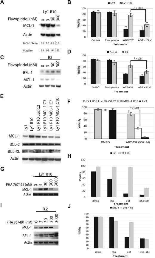 Figure 6. CDK9 inhibition or shRNA decrease MCL-1 levels and restore sensitivity to ABT-737. (A) Immunoblot analysis of OCI-LY1 R10 whole-cell lysates after 4 hours of flavopiridol treatment with different doses. Viability was assayed by annexin-V–FITC staining and flow cytometry. (B) OCI-LY1 and OCI-LY1 R10 cells were treated for 4 hours with DMSO or 300nM flavopiridol in combination with 0 or 250nM ABT-737, stained with annexin-V–FITC, and analyzed by flow cytometry. This experiment was performed in quadruplicate. (C) Immunoblot analysis of SU-DHL-4 R2 whole-cell lysates after 4 hours of flavopiridol treatment with different doses. (D) SU-DHL-4 and SU-DHL-4 R2 cells were treated for 12 hours with DMSO or 500nM ABT-737. During the last 4 hours of ABT-737 treatment, cells were treated with DMSO or 300nM flavopiridol. Cells were then stained with annexin-V–FITC and PI and analyzed by flow cytometry. The experiment was performed in triplicate. (E) Immunoblot analysis of MCL-1 knockdown by shRNA in single-cell clones. (F) Clones were chosen based on knockdown in panel E and tested for sensitivity by treatment with 500nM ABT-737 or DMSO. This experiment was performed in quadruplicate. All P values were determined by 2-tailed t tests. (G) Immunoblot analysis of OCI-LY1 R10 whole-cell lysates after 4 hours of PHA 767491 treatment with different doses. (H) OCI-LY1 and OCI-LY1 R10 cells were treated for 4 hours with DMSO or 3000nM PHA 767491 in combination with 0 or 1μM ABT-737, stained with annexin-V–FITC, and analyzed by flow cytometry. (I) Immunoblot analysis of SU-DHL-4 R2 whole-cell lysates after 4 hours of PHA 767491 treatment with different doses. (J) SU-DHL-4 and SU-DHL-4 R2 cells were treated for 12 hours with DMSO or 1μM ABT-737. During the last 4 hours of ABT-737 treatment, cells were treated with DMSO or 3000nM PHA 76741. Cells were then stained with annexin-V–FITC and PI and analyzed by flow cytometry. Error bars for panels B, D, and F represent SEM of independent quadruplicate, triplicate, and quadruplicate experiments, respectively. Error bars in panels H and J are representative of technical replicates, and the graphs presented are representative of 2 independent experiments.