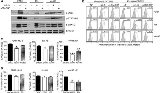Figure 1. The hβc FIΔ mutant generates JAK2- and ERK1/2-independent signals. (A) FDB1 cell populations were cultured without growth factor for 16 hours and then stimulated with mIL-3 or mGM-CSF for 5 minutes. Whole-cell lysates were subjected to Western blot analysis with the indicated antibodies. (B) FDB1 cells were cultured in the absence of growth factor (NF), mIL-3, or mGM-CSF and then fixed, permeabilized, and stained with the indicated primary antibodies (open histograms) or isotype-matched control (gray histograms). (C-D) FDB1 cells cultured in 500 BMU mIL-3 and FDB1 cells expressing FIΔ or V449E cultured in the absence of growth factor were treated for 24 hours with dimethyl sulfoxide (DMSO), (C) JAK2 inhibitor II (J2InhII) or AG490, and (D) U0126 or PD98059 (PD). Viability was measured by 7-amino-actinomycin D staining and flow cytometry. Error bars represent SEM, where n = 3; statistical significance was calculated by the use of a Student t test, *P < .05 **P < .01, ***P < .001.