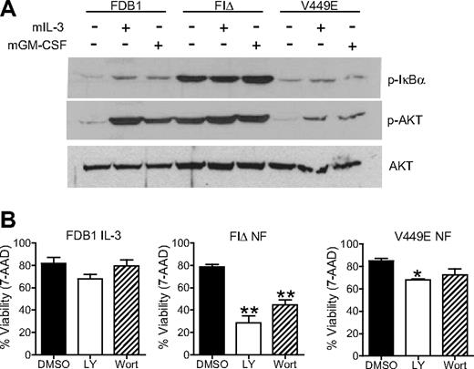 Figure 2. The hβc FIΔ mutant signals through Akt and NFκB pathways. (A) FDB1 cells were cultured in the absence of growth factor for 16 hours and then stimulated with 500 BMU of mIL-3 or mGM-CSF for 5 minutes. Whole-cell lysates were subjected to Western blot analysis with the indicated antibodies. (B) FDB1 cells cultured in 500 BMU mIL-3 and FDB1 cells expressing FIΔ or V449E cultured in the absence of growth factor were treated with DMSO, LY294002 (LY), or wortmannin (Wort) for 24 hours. Viability was measured by 7-amino-actinomycin D staining and flow cytometry. Error bars represent SEM, where n = 2; statistical significance was calculated by the use of a Student t test, *P < .05 **P < .01.