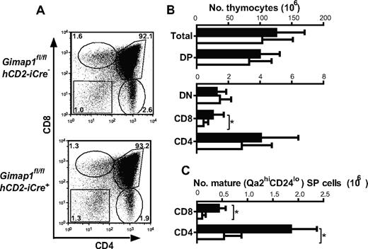 Figure 3. Thymocyte development in GIMAP1/CD2-cKO mice. (A) Representative FACS plots of thymocytes from GIMAP1fl/flhCD2-iCre− and GIMAP1fl/flhCD2-iCre+ mice stained for CD4, CD8, and TCR (the latter to exclude CD8+ intermediate SP cells). (B) Mean numbers (± SD) of thymocyte subsets (■ indicates GIMAP1fl/flhCD2-iCre−, n = 22; □, GIMAP1fl/flhCD2-iCre+, n = 18). (C) Mean numbers (± SD) of mature (Qa2hiCD24−) CD4 and CD8 SP thymocytes (■ indicates GIMAP1fl/flhCD2-iCre−, n = 6; □, GIMAP1fl/flhCD2-iCre+, n = 4).