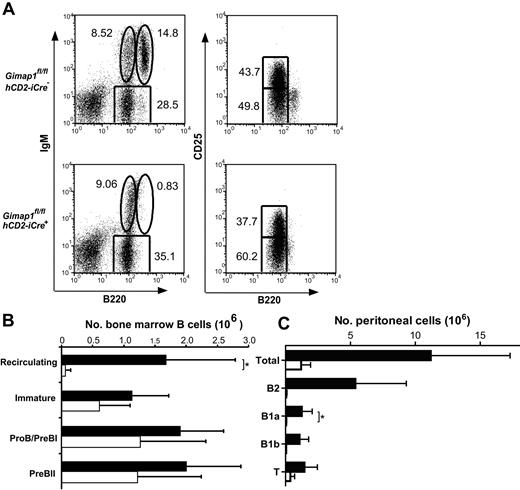 Figure 5. BM and peritoneal cell analysis. BM (A-B) and peritoneal (C) cells from GIMAP1fl/flhCD2-iCre− and GIMAP1fl/flhCD2-iCre+ mice were stained for flow cytometric analysis to identify B-lineage subsets. (A) Representative FACS plots for each genotype. The numbers given inside the component panels in A are the percentages of lymphoctye events contained within the indicated gates. (B) Mean numbers (± SD) of B-lineage subsets in BM (■ indicates GIMAP1fl/flhCD2-iCre−,n = 6; □, GIMAP1fl/flhCD2-iCre+, n = 6). (C) Mean numbers (± SD) of lymphocyte populations in peritoneum (■ indicates GIMAP1fl/flhCD2-iCre−, n = 6; □, GIMAP1fl/flhCD2-iCre+, n = 4). *P < .05 (unpaired 2-tailed Student t test).
