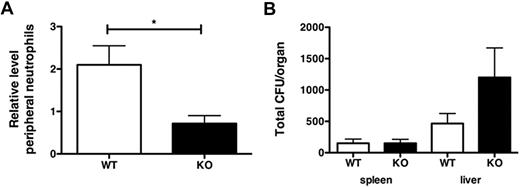 Figure 5. Impaired mobilization of STAT3-deficient neutrophils during Listeria monocytogenes infection. WT or STAT3-deficient (KO) mice were infected with L monocytogenes by intravenous injection, as described in “Methods.” (A) At 12 hours after infection, circulating neutrophil numbers in peripheral blood were determined by automated counting. Data shown are average fold change in peripheral neutrophil numbers in infected versus uninfected animals (n = 5 for WT, n = 4 for KO). (B) Spleens and livers were isolated 12 hours after infection with L monocytogenes, homogenized, and cultured. CFUs were enumerated 24 hours after culture. Shown are mean CFU/organ (n = 6 for WT, n = 4 for KO). Error bars represent SEM *P < .05.