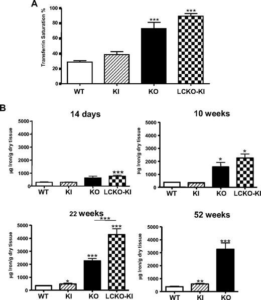 Figure 3. Iron status of Tfr2-deficient mice. (A) Transferrin saturation values in the 3 mouse models at 10 weeks of age. Transferrin saturation was measured on 5 animals for each strain. ***P < .001 versus WT. Bars represent SD in the analyzed animals group. (B) LIC in Tfr2-targeted mice at different ages. Statistical differences between LIC values of the different Tf2-targeted mice versus WT sib pairs at the same ages: *P < .05, **P < .01, and ***P < .001. Statistical difference between LIC values of Tfr2 KO and LCKO-KI mice at 22 weeks of age is also reported (P < .001). Bars represent SD in the analyzed animals group.