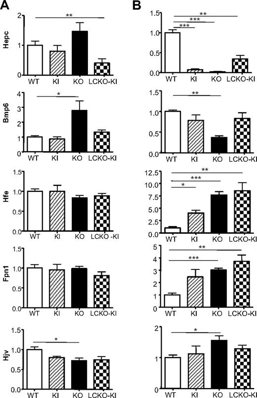 Figure 4. Liver iron genes expression in Tfr2-deficient mice. Relative hepatic iron gene expression in (A) 10-week-old and (B) 14-day-old KI, KO, and LCKO-KI mice compared with age-matched WT sib pairs. Gene expression analysis was performed on 18 animals for Hepc transcripts and on at least 5 animals for strain for the other genes. *P < .05, **P < .01, and ***P < .001 versus WT. Bars represent SD in the analyzed animals group.