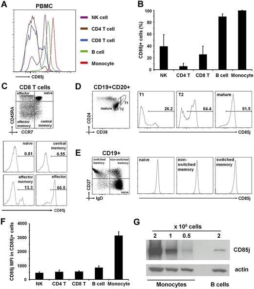 Figure 1. Differential CD85j expression on human PBMC subsets. (A) Representative histograms showing CD85j expression on NK cells, CD4 T cells, CD8 T cells, B cells, and monocytes. (B) Frequencies of CD85j+ cells within subpopulations are shown as mean + SD of 12 donors. (C) CD85j expression on CD8 T-cell subsets. Histograms (bottom) show CD85j expression on the CD8 T-cell subpopulations based on the expression of CCR7 and CD45RA as shown in the dot plot at top. Numbers in the histograms (bottom) indicate the percentage of cells expressing CD85j. (D) CD85j expression on peripheral transitional B cells. Histograms (right) show CD85j expression on the populations defined in density plot to the left (gated on CD19+CD20+ cells). T1 indicates early transitional B cells; and T2, late transitional B cells. (E) CD85j expression on peripheral naive and memory B cells. Histograms (right) show CD85j expression on the populations defined by the quadrants in dot plot to the left (gated on CD19+ cells). (F) CD85j cell surface densities (MFI indicates mean fluorescence intensity) by flow cytometry on the CD85j+ cells are shown as mean MFI + SD of 12 donors. (G) CD85j expression on monocytes and B cells are compared by Western blot. Blot is representative of comparisons of 4 donors.