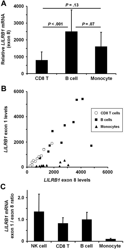Figure 2. LILRB1 mRNA levels does not account for different subset-specific CD85j protein expression. LILRB1 transcripts were quantified by qRT-PCR in RNA from magnetic bead–separated CD8 T cells, CD19 B cells, and CD14 monocytes, and NK cells were purified by negative selection. (A) Results for a primer set within exon 8 are shown as mean transcript numbers + SDs of 10 to 12 donors per group relative to 2 × 105 β-actin copies. Compared with protein expression, transcript numbers in monocytes were disproportionately low. (B) LILRB1 transcripts were compared for exon 1 to 3 and exon 8 sequences. Results are shown as a scatter plot for CD8 T cells, B cells, and monocytes. (C) Transcript comparisons are quantified as the ratio of LILRB1 exon 1 to 3 to exon 8 copies. Results are shown as mean + SD of 10 to 12 donors per group. NK-cell data are from 3 donors.