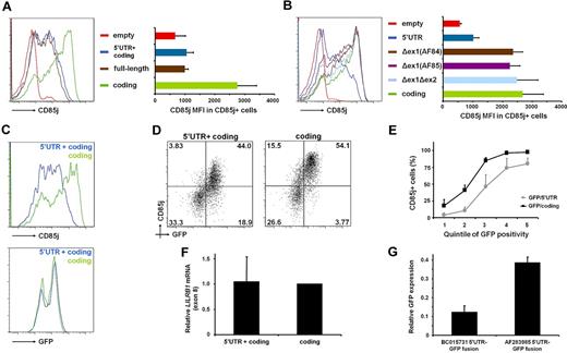 Figure 4. Exon 1 sequences repress CD85j expression. Human PBMCs were transfected with expression constructs containing variousLILRB1 cDNAs and/or GFP. CD85j and GFP expression in CD4 T cells was analyzed 24 hours after transfection by flow cytometry. (A) Histograms and bar graph comparing CD85j expression by full-length (BC015731) cDNA, 5′-UTR plus coding region, and coding region alone. Results are representative of 6 experiments. MFI indicates mean fluorescence intensity. (B) Histograms and bar graph comparing various portions of the LILRB1 5′-UTR plus coding region and coding region alone. Δex1(AF84) and Δex1(AF85) contain the LILRB1 5′-UTR from AF283984 and AF283985 sequences, respectively. Δex1Δex2 begins with exon 3 and continues through the LILRB1 coding region. (C-F) A plasmid expressing GFP was cotransfected along with a LILRB1 5′-UTR plus coding region or coding region alone plasmid. Results are representative of 6 experiments. (C) Representative histograms showing CD85j and GFP expression in cotransfected CD4 T cells. (D) Flow cytometry plot of samples shown in panel C. (E) Graph of the percentage of CD85j+ CD4 T cells in cells cotransfected with GFP. Samples were divided into quintiles based on GFP expression, and means + SDs from 3 transfections were calculated for each quintile. (F) Relative LILRB1 mRNA (exon 8) in cotransfected cells. cDNA was treated with DpnI before real-time PCR to digest plasmid DNA; n = 3 transfections. (G) LILRB1 5′-UTR sequences that include (BC015731) or exclude (AF283985) exon 1 were cloned upstream of the GFP ORF of pmaxGFP. Data showing GFP MFI relative to an unaltered GFP control vector are presented as mean + SD from 3 transfections.