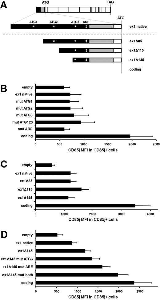 Figure 5. The distal 30 nt of LILRB1 exon 1 accounts for the poor protein expression by LILRB1 exon 1–containing constructs. (A) Schematic of constructs used to isolate the region within LILRB1 exon 1 responsible for poor protein expression. (B-D) Constructs used for transfections contained the LILRB1 coding region preceded by the portions of the LILRB1 5′-UTR indicated here. Sites in exon 1 that, in some constructs (B,D), were mutated are indicated by an asterisk (*) for ATG sequences and a double-dagger (‡) for the ARE sequence. (B) Graph comparing LILRB1 5′-UTR plus coding region constructs. Mutations were introduced into an LILRB1 5′-UTR construct containing the full-length exon 1. For mut ATG1, ATG2, ATG3, and ATG123, the 3 potential start codons found in LILRB1 exon 1 were changed to AAG. For mut ARE, the ATTTA sequence was changed to ATCTA; n = 4 transfections. (C) Graph comparing LILRB1 5′UTR plus coding region constructs. Progressively truncated LILRB1 exon 1 constructs were compared with an LILRB1 coding region construct; n = 3 transfections. (D) Graph comparing LILRB1 5′-UTR plus coding region constructs. The ATG and ARE sites in the ex1Δ145 construct were mutated, and CD85j expression was compared with the unmutated construct and an LILRB1 coding region construct; n = 5 transfections.