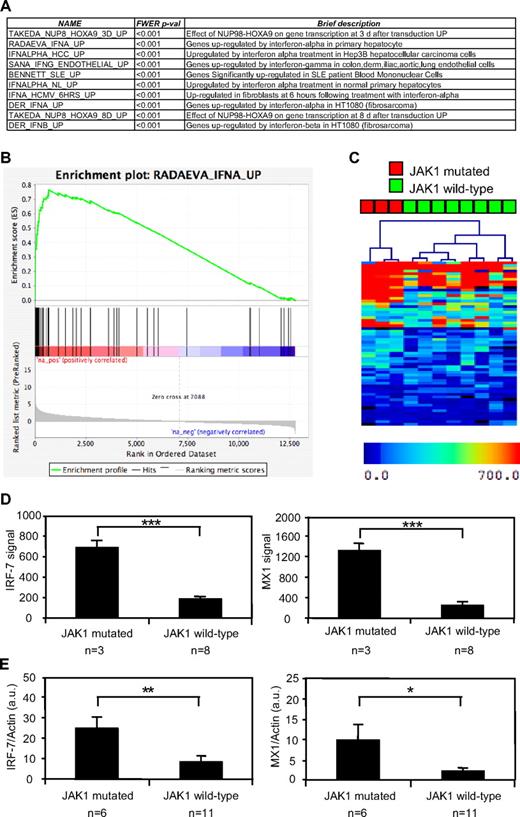 Figure 1. JAK1 mutation–positive T-ALL cells show a type I IFN transcriptional signature. The gene expression profile of human JAK1 mutation–positive and mutation–negative T-ALL cells was assessed with pangenomic microarrays. (A) The list of the 10 gene sets most enriched in cells with a mutated JAK1 allele, according to a GSEA analysis, is shown. (B) The figure represents the GSEA enrichment plot of one of the most enriched gene sets. The lower part of this plot shows the ranking of the genes relative to their enrichment in JAK1 mutation–positive cells. The medium part shows the ranking of the hits from the IFN-induced gene set and the top part shows the resulting enrichment profile. (C) Hierarchical clustering based on the genes induced by IFN-α in PBMCs. (D) The mean microarray signal for the IFN targets hIRF-7 (right) and hMX1 (left) is represented for 3 JAK1 mutation–positive compared with 8 mutation-negative T-ALL samples. The differences between JAK1 mutation–positive and mutation–negative samples were extremely significant (***P < .001, t test). Results are mean ± SEM. (E) Quantitative analysis hIRF-7 (left) and hMX1 (right) expression, based on an independent set of 6 JAK1 mutation–positive and 11 mutation–negative T-ALL samples. Transcripts were normalized to the level of the β-actin transcripts. The differences between JAK1 mutation–positive and mutation–negative ALL samples were significant (**P < .007, *P < .035, t test). Results are mean ± SEM.