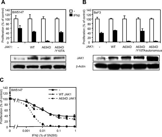 Figure 4. JAK1A634D confers hypersensitivity to IFN-β in BW5147 and BaF3 cells. (A) BW5147 (4000) or (B) BaF3 (3000) cells stably transduced by JAK1WT or JAK1A634D, with intact or mutated Y107A FERM domain (JAK1A634D/Y107A), were seeded in 96-well plates and stimulated by 1% IFN-β or mock/control HEK293 supernatants. After 72 hours, tritiated thymidine was added to the cells for 4 hours, and thymidine incorporation was measured. In parallel 106 BW5147 or BaF3 cells were starved for 4 hours, lysed, and subjected to Western blot analysis. Total JAK1 and β-actin levels were assessed with anti-JAK1 and anti–β-actin antibodies. (C) BW5147 cells (4000) stably transduced by JAK1WT or JAK1A634D, with intact or mutated Y107A FERM domain (JAK1A634D/Y107A), were seeded in 96-well plates and stimulated by IFN-β HEK293 supernatants at different dilutions, starting from 1%. After 72 hours, tritiated thymidine was added to the cells for 4 hours, and thymidine incorporation was measured. Results are mean ± SD of biologic triplicates. Similar results were obtained in 3 independent experiments in BW5147 and BaF3 cell lines. WT indicates wild-type.