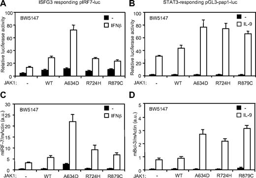 Figure 6. JAK1A634D, JAK1R724H, and JAK1R879C differentially favor IFN-β and IL-9 signaling. (A-B) BW5147 cells (12 × 106) stably transduced by JAK1WT or JAK1A634D were electroporated with 15 μg of the ISGF-3 responsive pIRF7-luc (A) or the STAT3 responsive pGL3-pap1-luc (B) luciferase reporter plasmid and 1 μg of internal control pRL-TK plasmid. Cells were seeded in 96-well plates at 5 × 105 cells/well and stimulated with 1% IFN-β or mock/control HEK293 supernatants (for pIRF7-luc) and by 100 U/mL hIL-9 (for pGL3-pap1) for 2 hours before luciferase assay was performed. Results are mean ± SD of biologic triplicates. Similar results were obtained in 3 independent experiments. (C-D) BW5147 cells (106) stably transduced by JAK1 wild-type (WT) or different JAK1 mutants were stimulated with 1% IFN-β or mock/control HEK293 supernatants (C) and stimulated with 100 U/mL hIL-9 (D) for 3 hours, lysed, and used for total RNA extraction. Real-time PCR was performed to quantify transcripts of mIRF-7 and mBcl-3 genes. Gene expressions were normalized to the level of the murine β-actin transcripts. Results are mean ± SD of biologic triplicates. Similar results were obtained in 3 independent experiments.